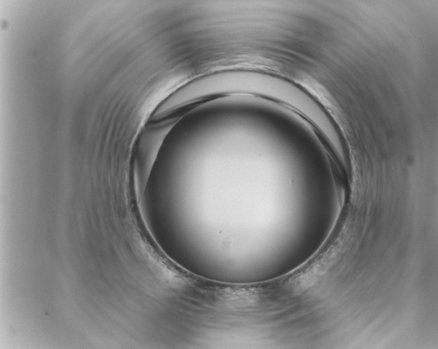 X0000088580850200706011111