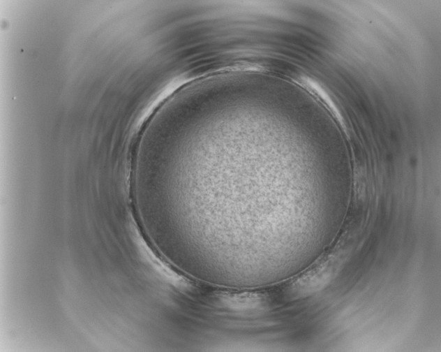 X0000088580851200706011111