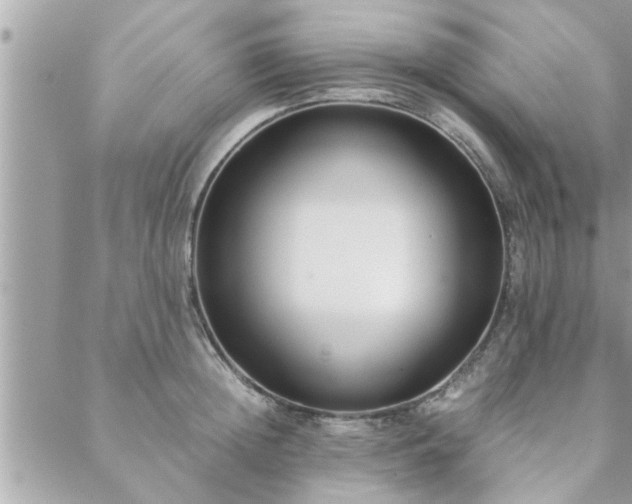 X0000088580852200706011111