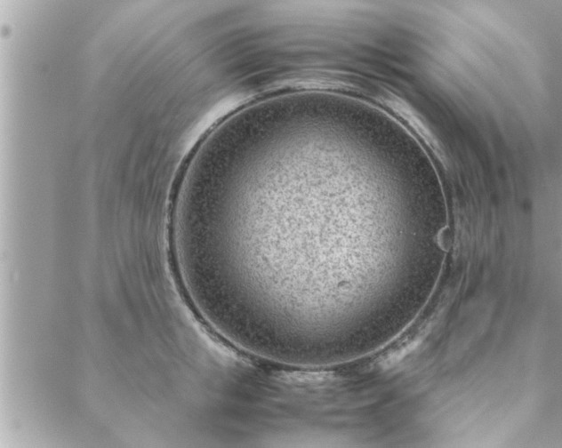 X0000088580853200706011111