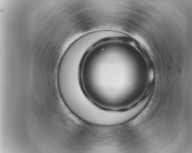 X0000088580854200706011111