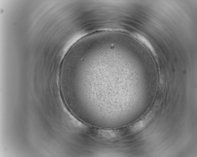 X0000088580855200706011111