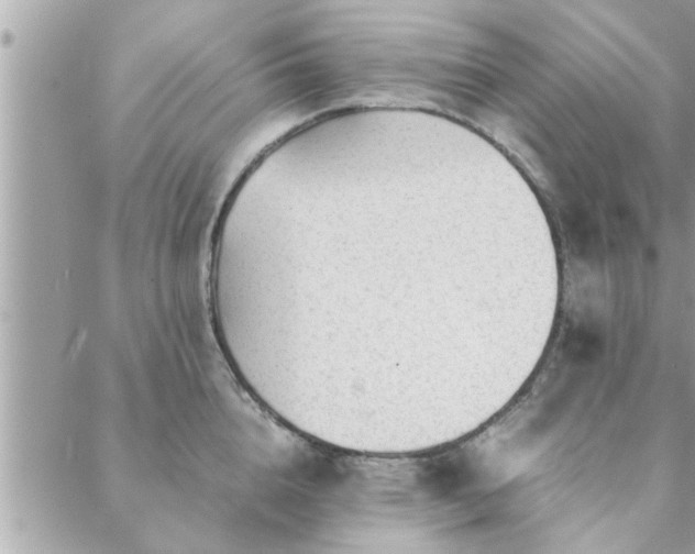 X0000088580856200706011111