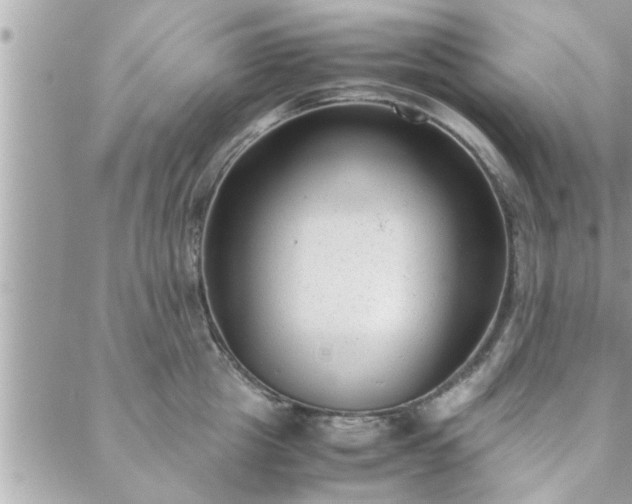 X0000088580857200706011111