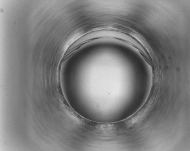 X0000088580858200706011111