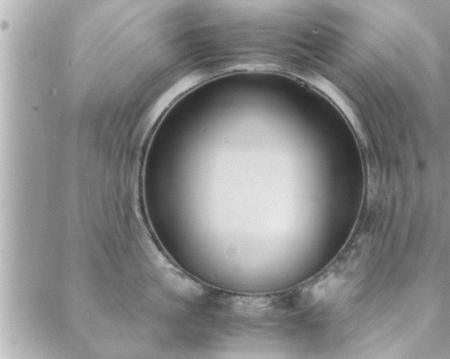 X0000088580861200706011111