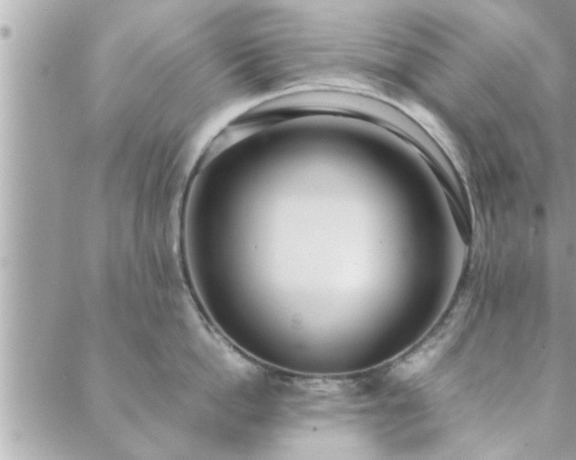 X0000088580862200706011111