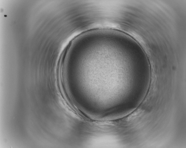 X0000088580864200706011111