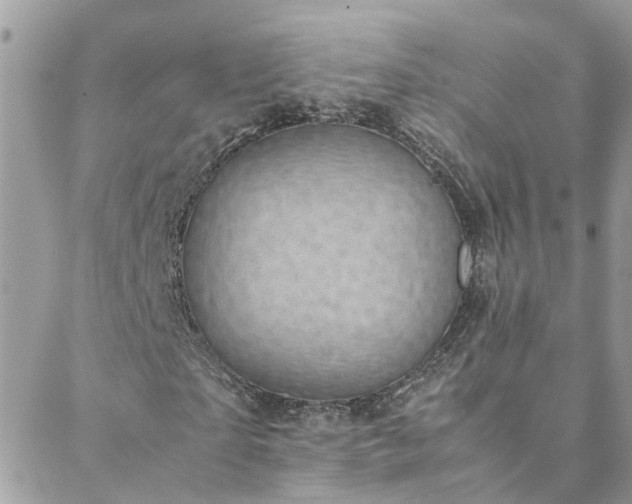 X0000088580865200706011110