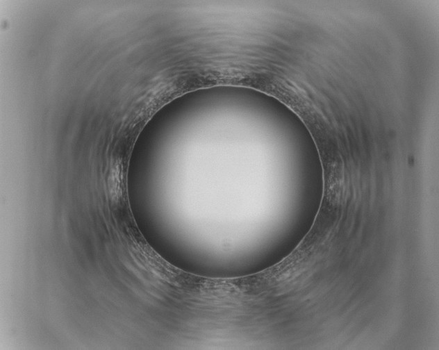 X0000088580866200706011110