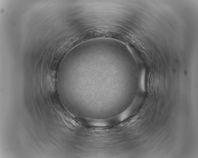 X0000088580868200706011110