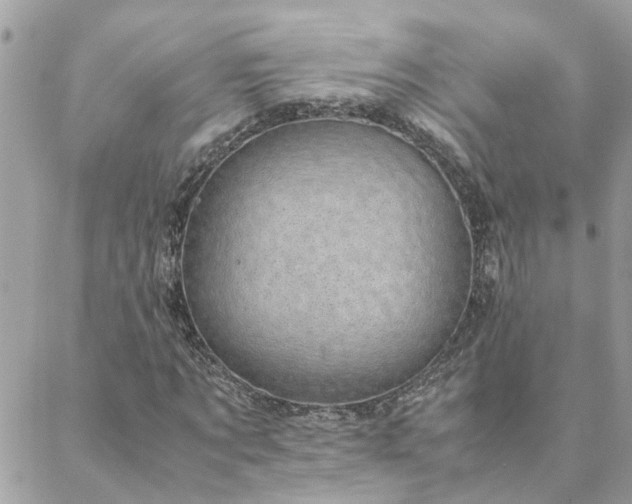 X0000088580869200706011110