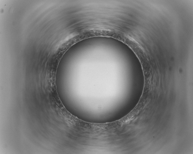 X0000088580870200706011110