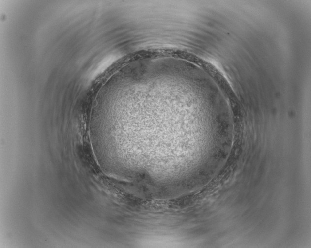 X0000088580871200706011110