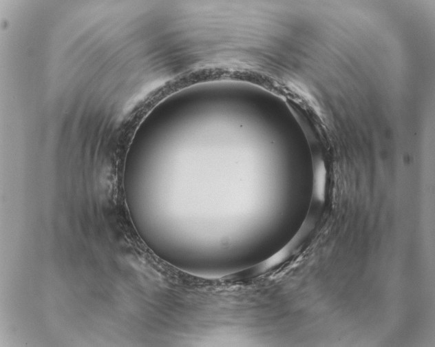 X0000088580872200706011110