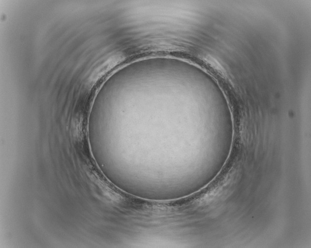 X0000088580873200706011110