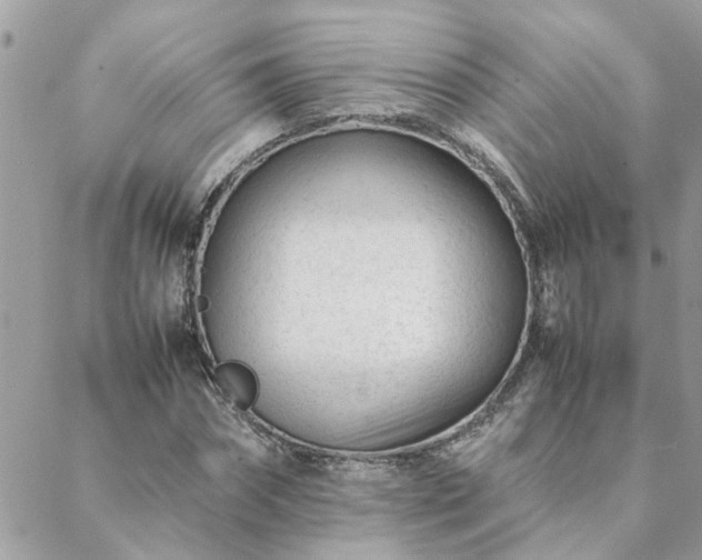 X0000088580874200706011110