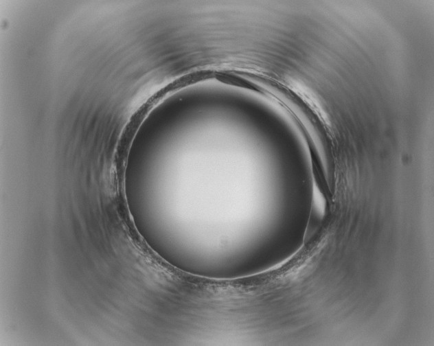 X0000088580876200706011110