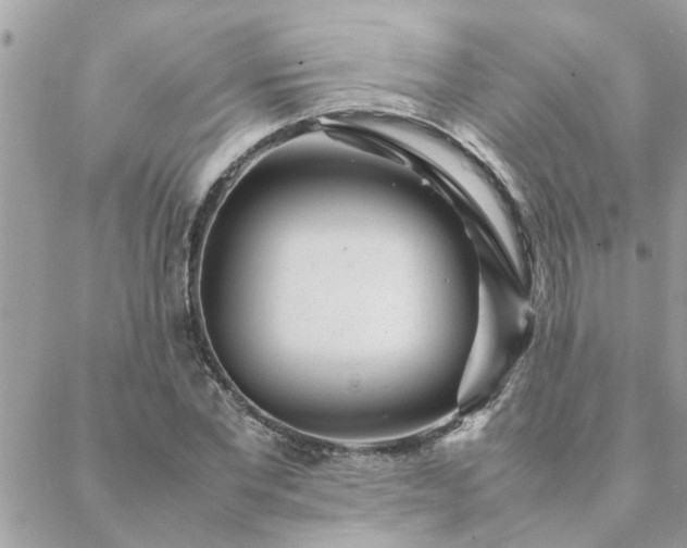 X0000088580877200706011110