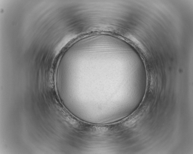 X0000088580878200706011110