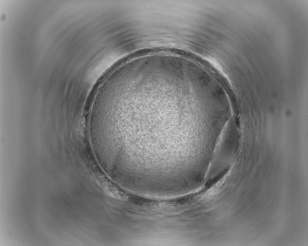 X0000088580879200706011110