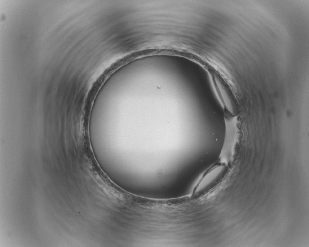 X0000088580880200706011110