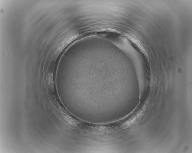 X0000088580881200706011110