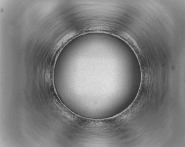 X0000088580882200706011110