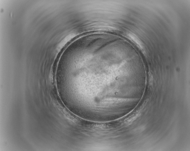 X0000088580883200706011110