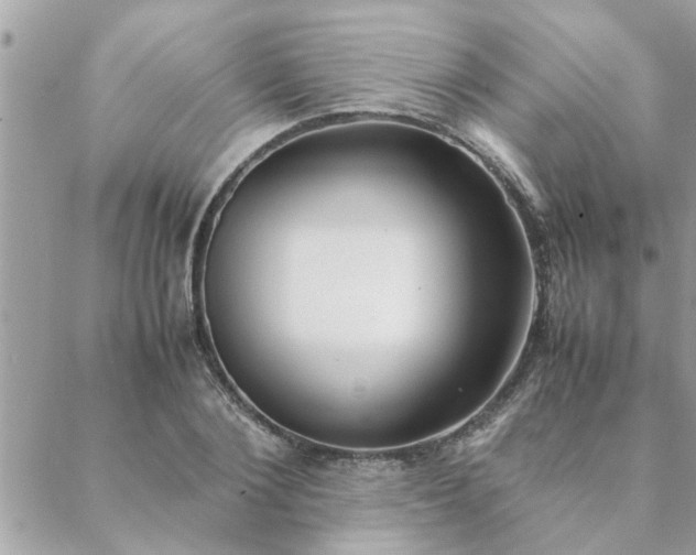 X0000088580884200706011110