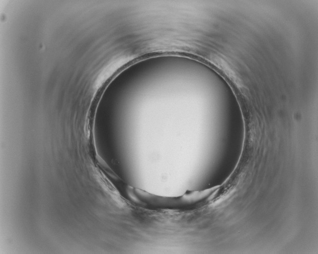 X0000088580885200706011110