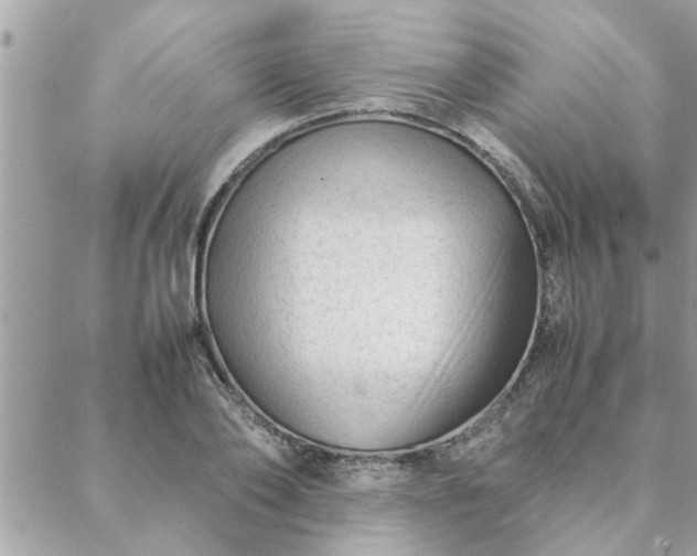 X0000088580886200706011110