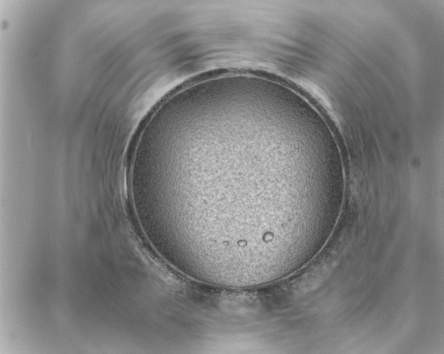 X0000088580887200706011110