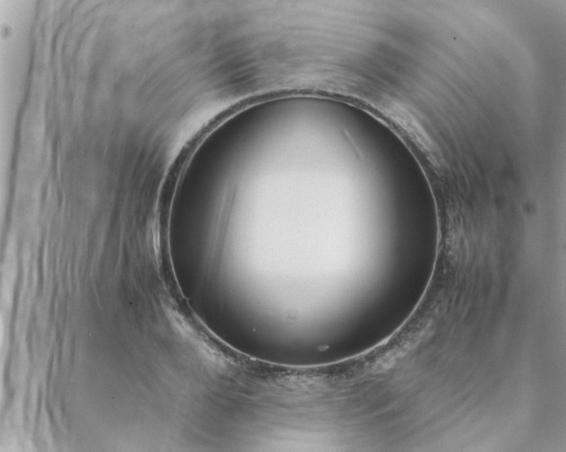 X0000088580888200706011110