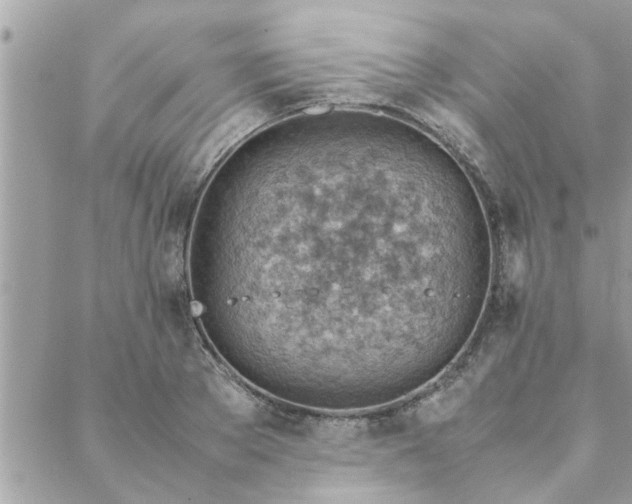 X0000088580889200706011110