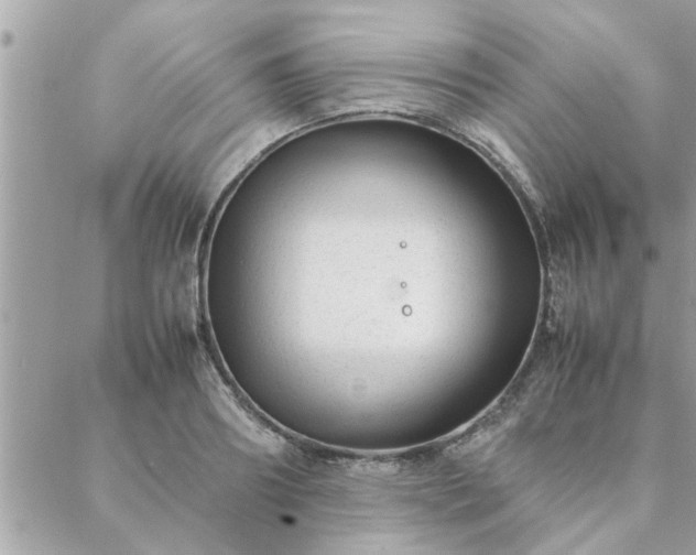 X0000088580890200706011110