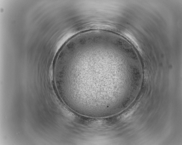 X0000088580891200706011110