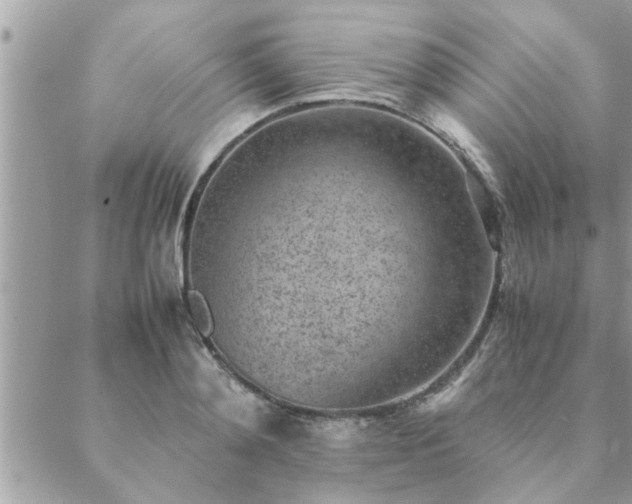 X0000088580892200706011110