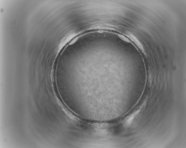 X0000088580893200706011110