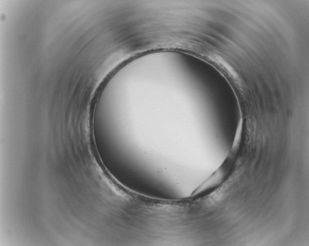 X0000088580894200706011110