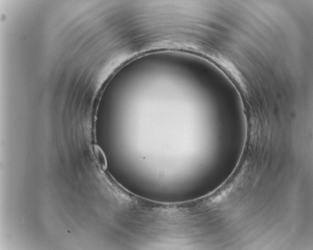 X0000088580896200706011110