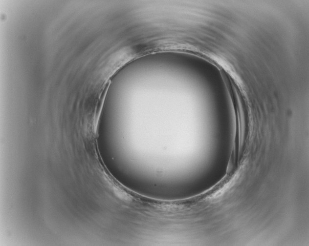 X0000088580897200706011110