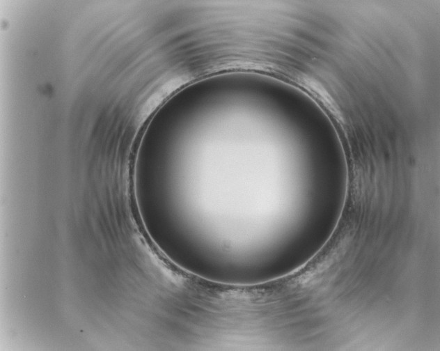 X0000088580898200706011110