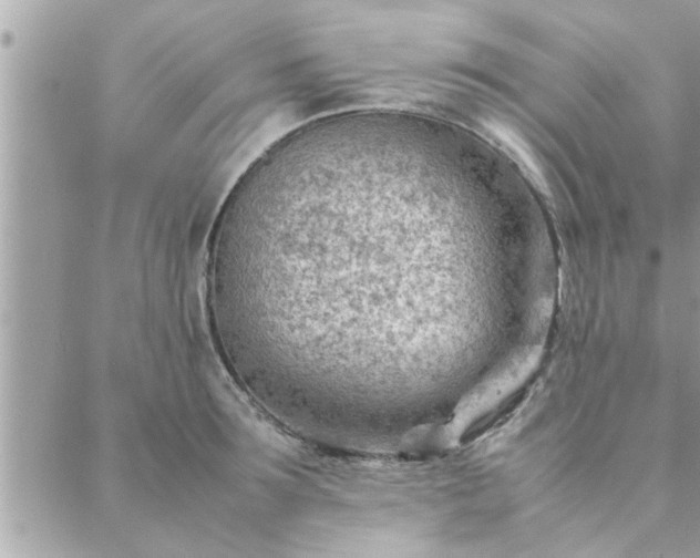 X0000088580899200706011110