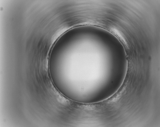 X0000088580900200706011110