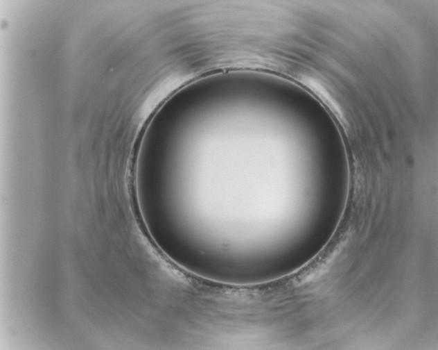 X0000088580901200706011110