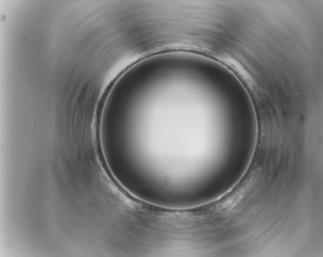 X0000088580902200706011110