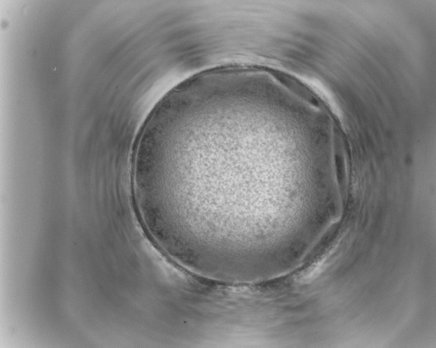 X0000088580903200706011110