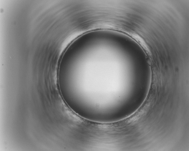 X0000088580904200706011110