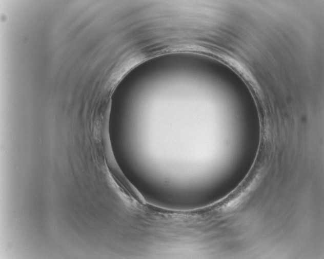 X0000088580905200706011109